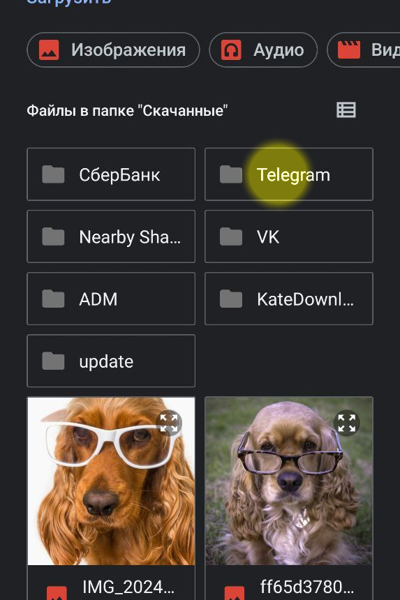 Папка Telegram