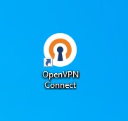 Ярлык
